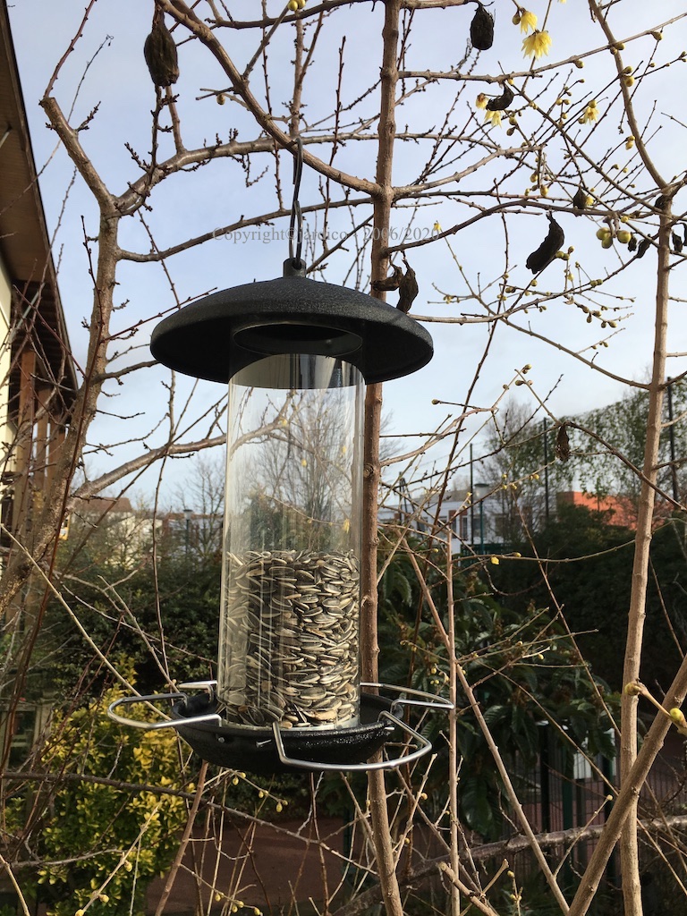 nourrir les oiseaux en hiver 2